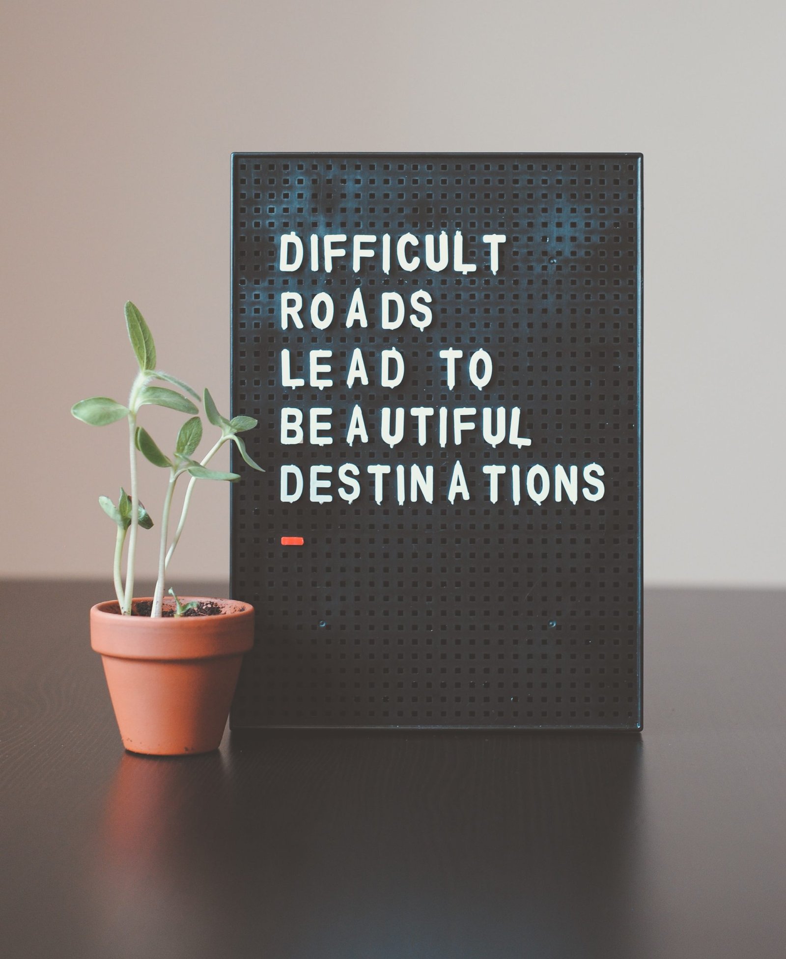 hello-i-m-nik-z1d-LP8sjuI-unsplash counseling-services