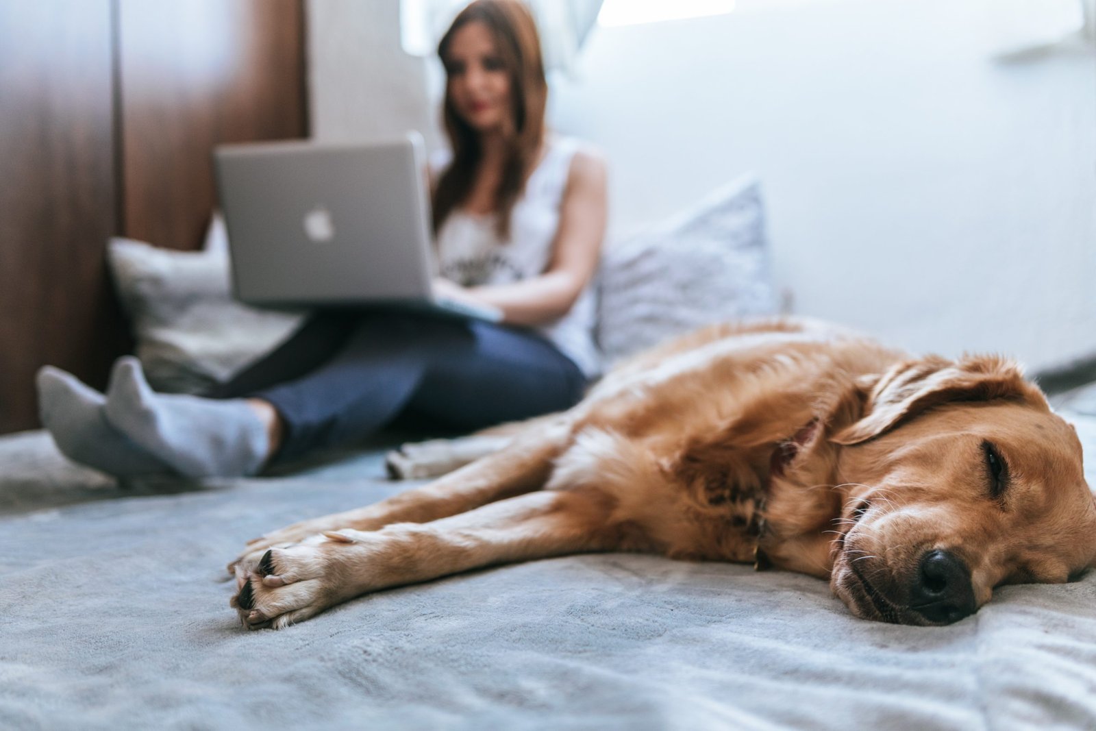 Online-therapy-seattle Online-Therapy-Seattle
